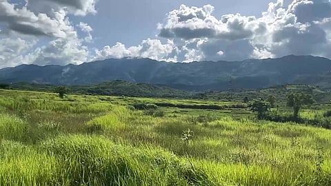 farmlands