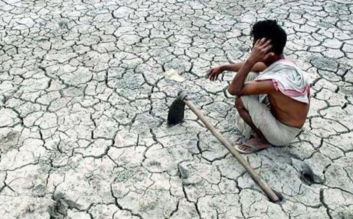 Drought and the cry of farmers: Why crop insurance is the need of the hour