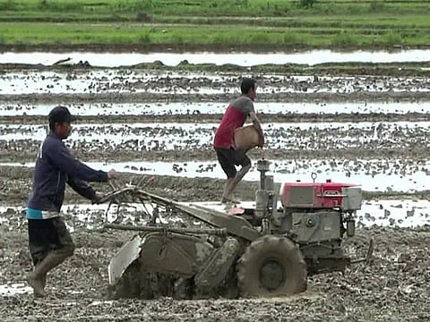 Manipur’s rural economy