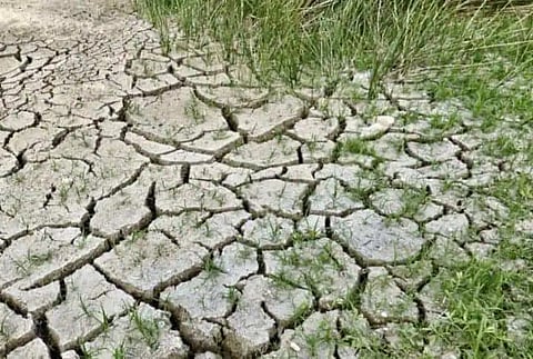 Climate change