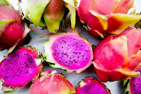 Dragon Fruit