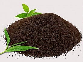 Indian tea exports