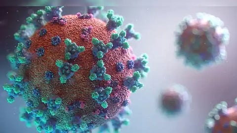 Covid-19 May Age Women’s Blood Vessels by Five Years, Study Finds