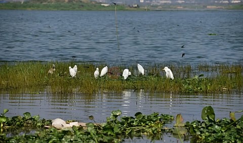 Deepor Beel