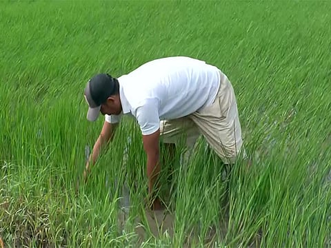 Agrarian crisis 