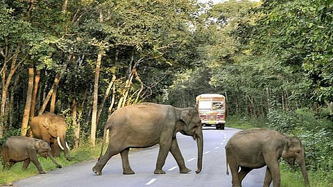 Tamulpur 