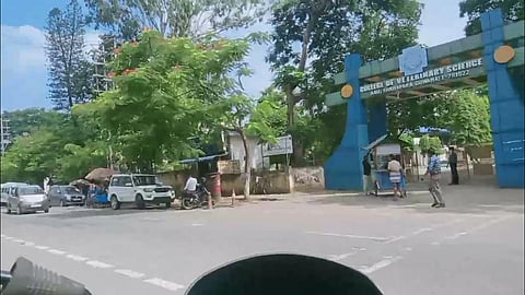 India Industrial Fair