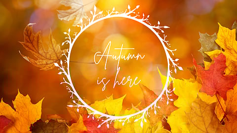 Autumn is here