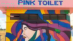 Representative Image of Pink Toilets