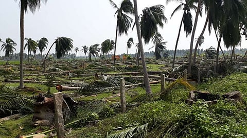 Cyclonic 