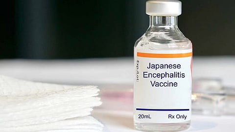 Japanese Encephalitis