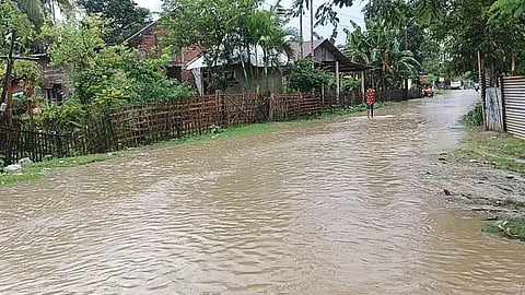 artificial floods
