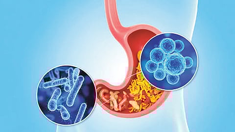 healthier gut