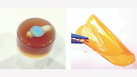 Nagaland University’s biodegradable gelatin-electrolyte to boost performance