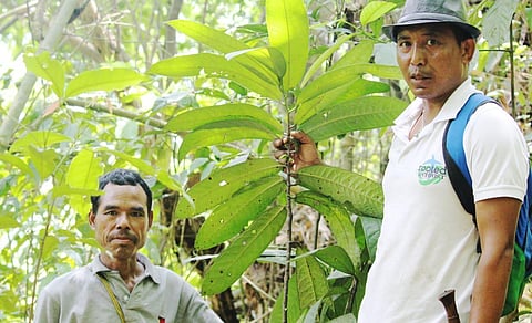 Nagaland University researchers