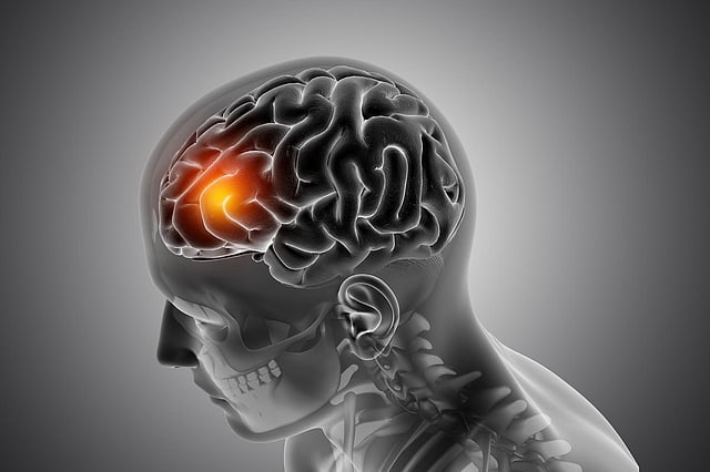 Scientists find brain chemical tied to trauma and depression: Study