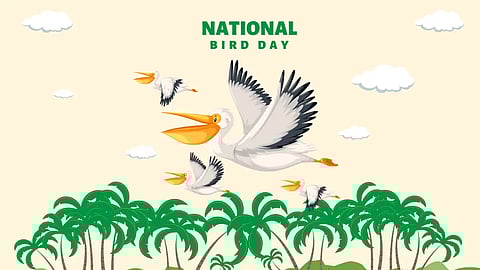 National Bird Day 