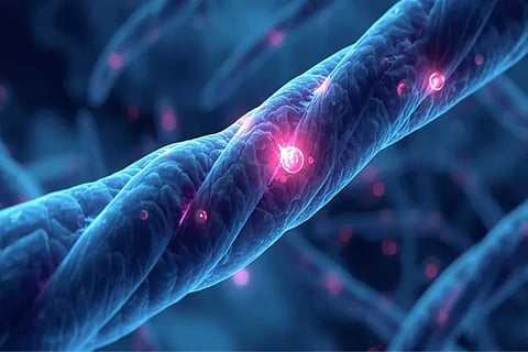 Scientists find molecule that mimics exercise, slows ageing: Study