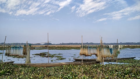 Dorabeel wetland