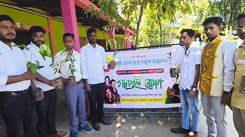 Image of the The 53rd birth anniversary of heartthrob Zubeen Garg was observed in a gentle and heartfelt manner as members of the All Assam Students’ Union (AASU) planted 53 Nahor saplings on the premises of Hatsingimari College.