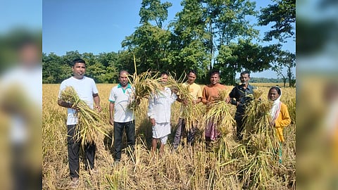 Farmers of Habiborongabari, a village on the Morigaon-Nagaon border