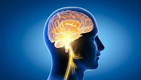 This body trait helps keep your brain young: Study