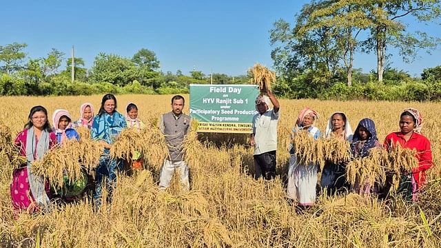 Field day on high-yielding rice variety Ranjit Sub-1 held