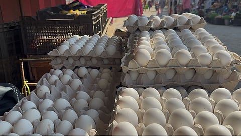 Eggs being sold at a market in Barak Valley
