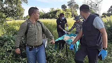 Hoolock gibbon family rescued after four-day operation in Arunachal