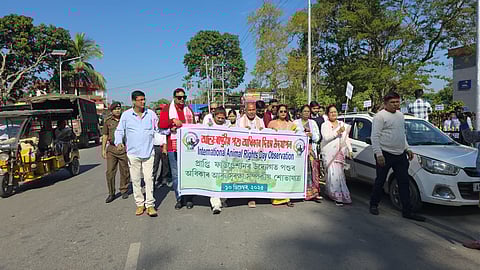 Rally organised in Golaghat on International Animal Rights Day