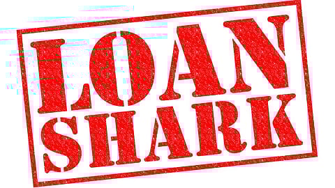  loan shark