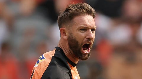 Melbourne Renegades sign Andrew Tye