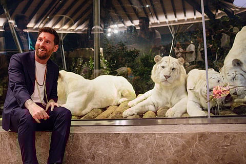 Lionel Messi experiences Indian tradition and wildlife in a visit to Vantara