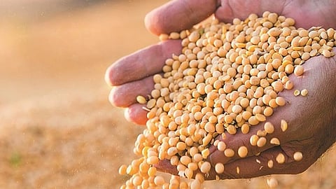 Agriculture Department 