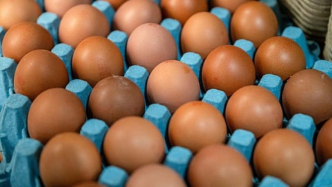 Eggs 