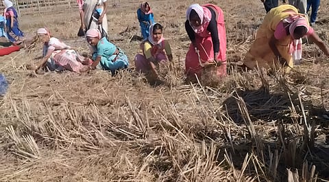 Image of the women devotees who gathered together for a cleanliness drive in Jamugurihat ahead of the Srimanta Sankardeva's Sangha Conference 95th Conference on February