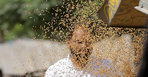 Historic Labour Code 