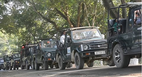 Image of Jeeps Safaris in Kaziranga