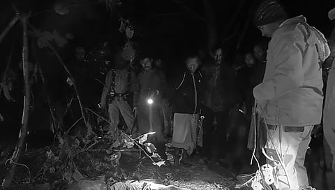 Man Killed in Wild Elephant Attack in Bijni