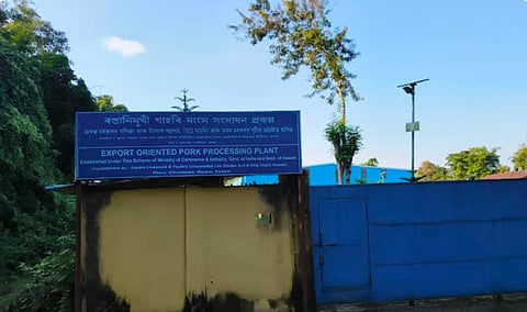 pig meat processing plant