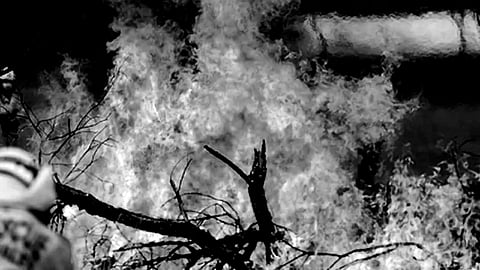 Life-threatening bushfire