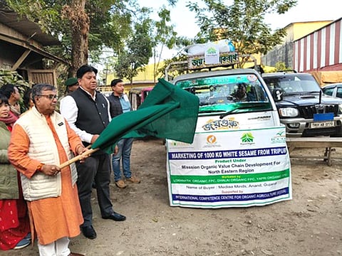 organic white sesame