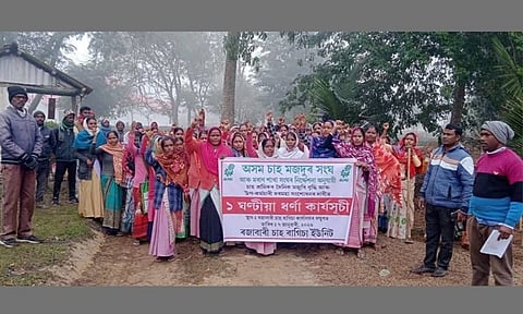 Assam Tea Workers Strike Across Brahmaputra Valley for Higher Wages Amid Rising Costs 