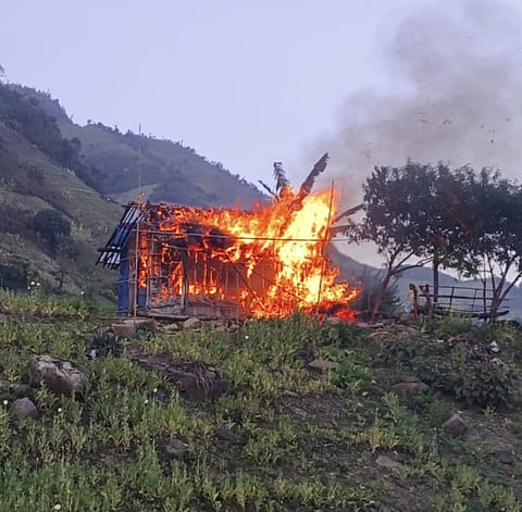 Manipur Police, CRPF Lead Operation to Eradicate 53 Acres of Poppy in Kangpokpi Hills
