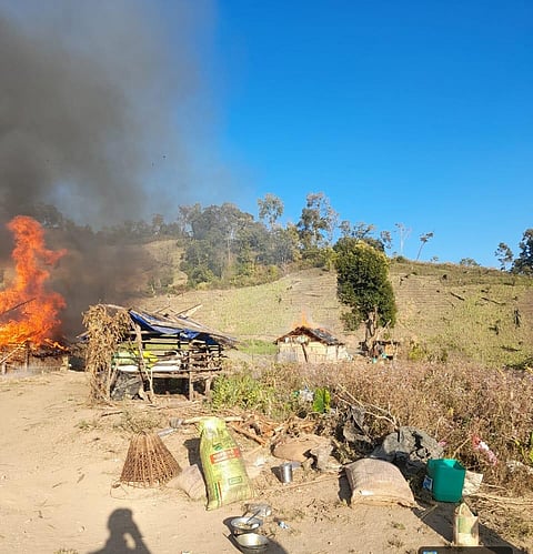 40 Acres of Illicit Poppy Cultivation Destroyed in Manipur’s Senapati District

