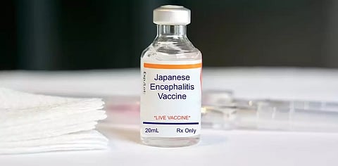 Japanese Encephalitis 
