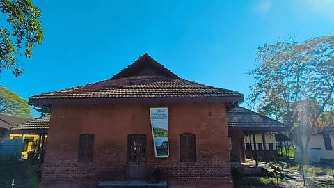 John Berry White Medical School Museum project