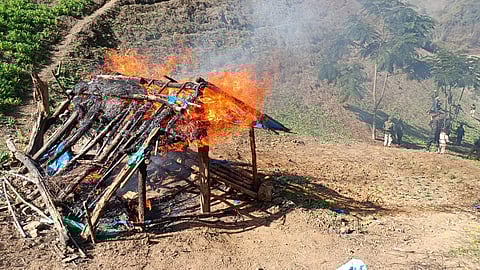 Security Forces Destroy Nearly 65 Acres of Illegal Poppy Cultivation in Churachandpur and Kangpokpi
