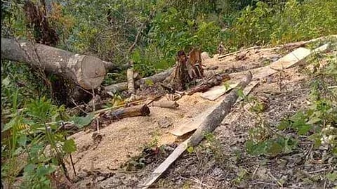 Aranya Suraksha Samiti Assam