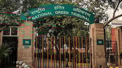 NGT takes suo motu note of reported illegal road work in Papum Pare